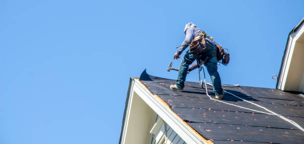 Best Storm Damage Roof Repair  in West Cape May, NJ